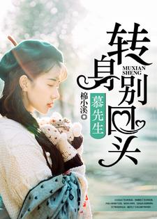 慕先生，转身别回头梁暖暖慕北琛慕先生慕炎全本章节阅读_慕先生，转身别回头最新小说