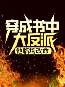 穿成书中大反派，他临场改命陆承李叶柳宁雪柳家最新免费_穿成书中大反派，他临场改命免费全本阅读