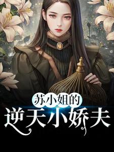 精选小说《苏小姐的逆天小娇夫》小说_(主角是苏寅赵远之宋妍叶玄奕)苏小姐的逆天小娇夫小说无弹窗