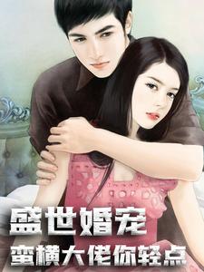 全本小说《盛世婚宠：蛮横大佬你轻点》小说_(主角是宁殆唐千落唐万凝万青)盛世婚宠：蛮横大佬你轻点小说全本章节