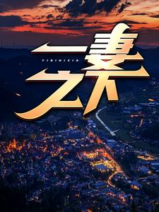 全网爆火《一妻之下》小说_(主角是陈安唐若萱)一妻之下全文小说