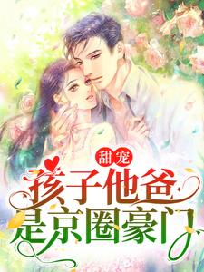 推荐甜宠：孩子他爸是京圈豪门蓝鸢陆宸_甜宠：孩子他爸是京圈豪门(蓝鸢陆宸)小说阅读