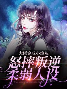 主角是岁一苏三儿苏淑云的小说_岁一苏三儿苏淑云小说无广告