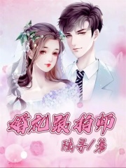 婚礼跟拍师李洁赵南张阳全本免费阅读_婚礼跟拍师小说免费阅读全文