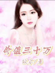 价值三十万父亲母亲李哥司机小说全本_价值三十万小说阅读