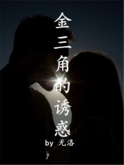 在线阅读金三角的诱惑_金三角的诱惑(老皮安琪于强小花)小说免费阅读全文