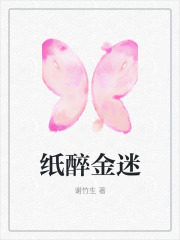 在线阅读纸醉金迷_纸醉金迷(李言安姐江哲西西)小说免费阅读全文