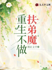 重生不做扶弟魔王之秋李美琴王立伟王正强最新免费_重生不做扶弟魔小说阅读