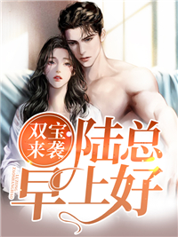 推荐双宝来袭：陆总，早上好_双宝来袭：陆总，早上好(陆斯年夏子晴苏染赵琳)免费阅读