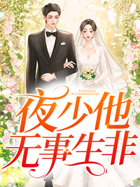 精品推荐夜少他无事生非_夜少他无事生非(风千雪白露司浩轩朱妈)免费全本
