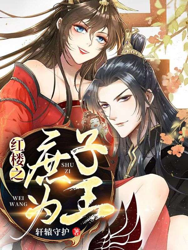 红楼之庶子为王贾琮王婶儿贾赦贾宝玉免费小说_红楼之庶子为王免费全本
