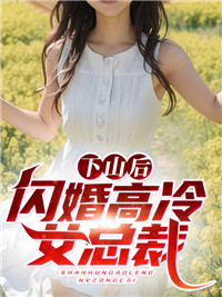 下山后闪婚高冷女总裁叶昊苏冰岚苏国耀岳美云小说免费阅读全文_下山后闪婚高冷女总裁免费全本阅读